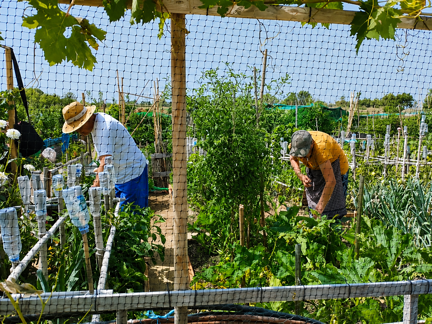 Huerto urbano comunitario en Chillogallo Quito